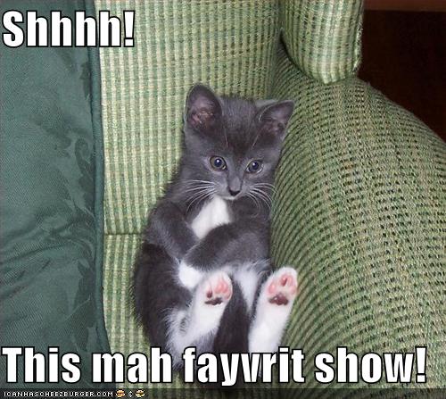 funny-pictures-kitten-watches-tv.jpg