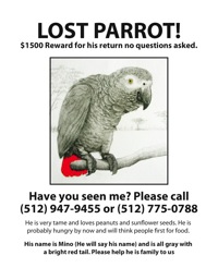 lost-parrot lost-parrot