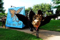 bat bat