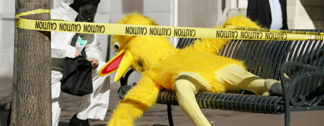 The Official Bird of Downtown Austin