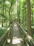 The "Boardwalk" you may envision.