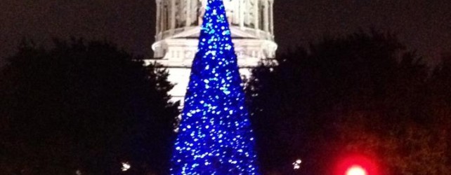 New Capitol Tree