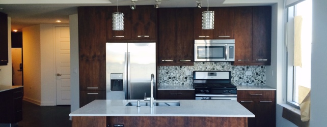 The-Bowie-Austin-Apartments-Kitchen